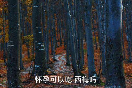 懷孕可以吃 西梅嗎