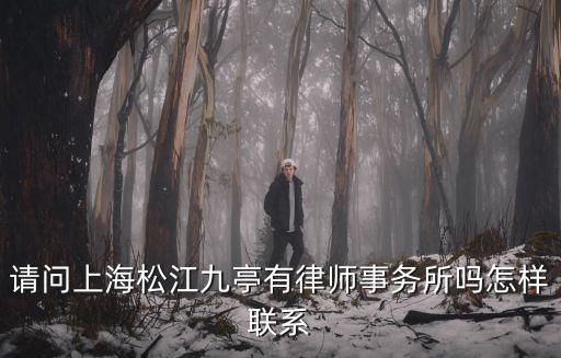 請問上海松江九亭有律師事務所嗎怎樣聯系