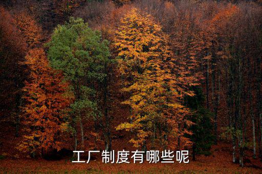 工廠制度有哪些呢