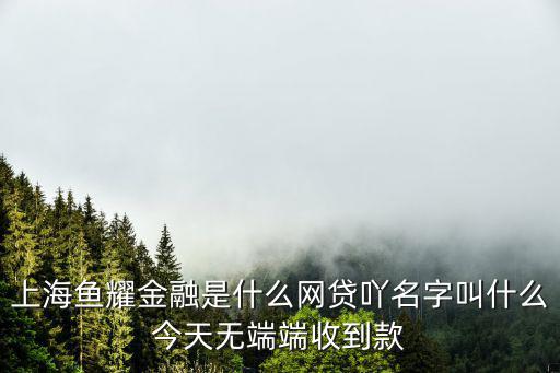 上海金融是啥網貸，上海魚耀金融信息有限公司是哪個網貸