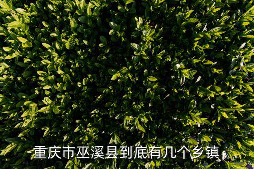重慶市巫溪縣到底有幾個鄉鎮