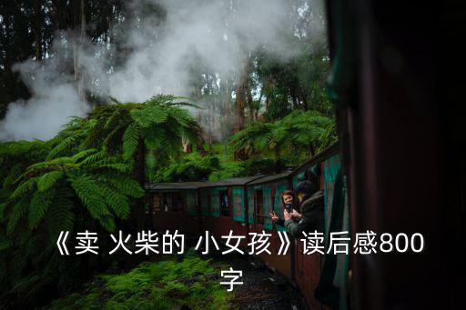 《賣 火柴的 小女孩》讀后感800字