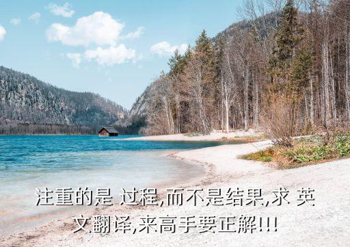 注重的是 過程,而不是結果,求 英文翻譯,來高手要正解!!!