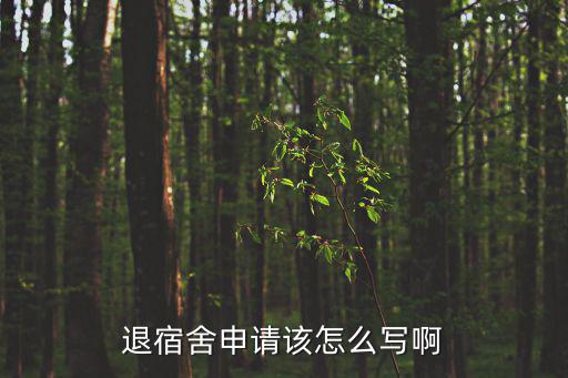 退宿舍申請該怎么寫啊