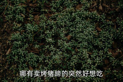 烤豬蹄的做法，哪有賣(mài)烤豬蹄的突然好想吃