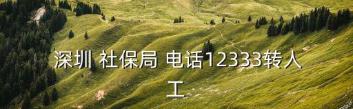 深圳社保電話,社保咨詢電話12333新電話咨詢服務平臺