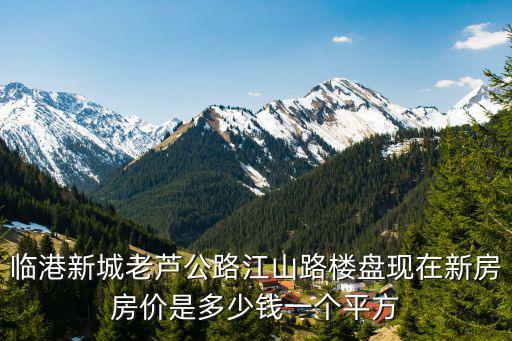 臨港新城老蘆公路江山路樓盤現(xiàn)在新房房價(jià)是多少錢一個(gè)平方