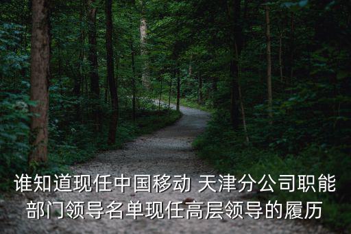 誰知道現(xiàn)任中國移動 天津分公司職能部門領(lǐng)導(dǎo)名單現(xiàn)任高層領(lǐng)導(dǎo)的履歷