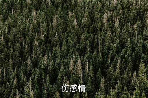 傷感情