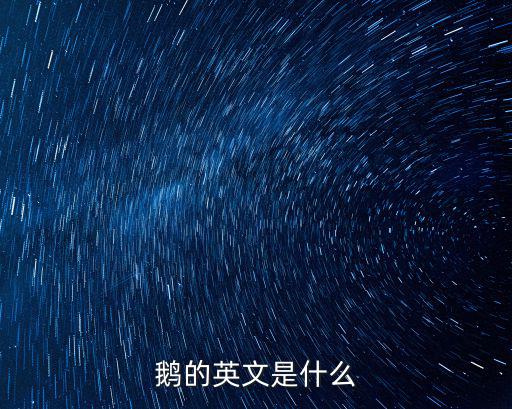 鵝的英文是什么