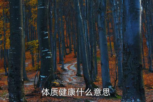 體質健康什么意思