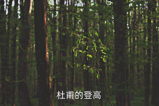 杜甫的登高