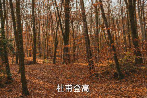 杜甫登高，登高杜甫