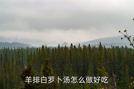 羊排白羅卜湯怎么做好吃