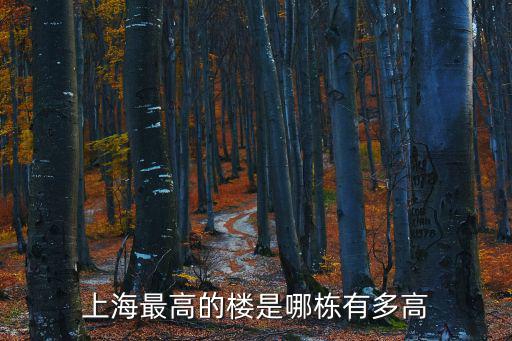 上海中心阻尼器是什么，上海中心大廈為什么風刮不倒