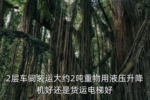 2層車間裝運大約2噸重物用液壓升降機好還是貨運電梯好