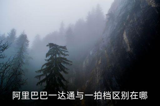 4通一達(dá),一達(dá)通與阿里巴巴的關(guān)系不同