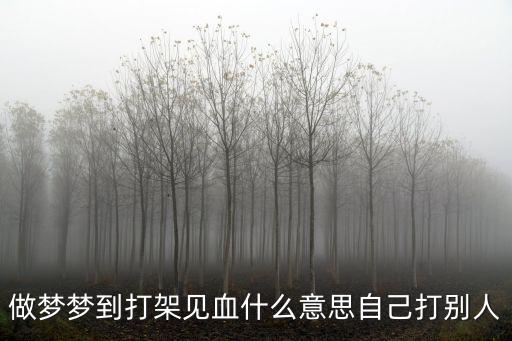 做夢夢到打架見血什么意思自己打別人