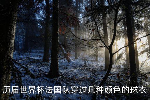 歷屆世界杯法國隊穿過幾種顏色的球衣