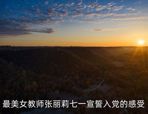 最美女教師張麗莉七一宣誓入黨的感受
