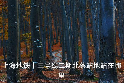 上海地鐵十三號線二期北蔡站地站在哪里