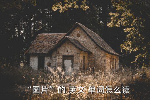 “圖片”的 英文 單詞怎么讀
