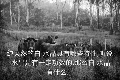 白水晶簇,天然白色水晶串成為水晶的第一個