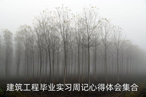 建筑工程畢業實習周記心得體會集合
