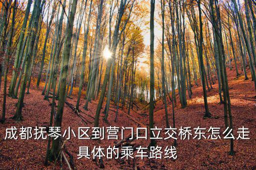 成都撫琴小區(qū)到營(yíng)門口立交橋東怎么走具體的乘車路線
