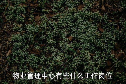 物業(yè)服務(wù)中心，請(qǐng)問揚(yáng)州市直屬事業(yè)單位中的物業(yè)管理中心是干什么的職能是什么