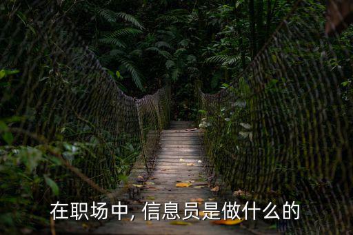 在職場中, 信息員是做什么的