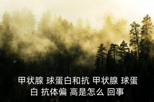  甲狀腺 球蛋白和抗 甲狀腺 球蛋白 抗體偏 高是怎么 回事