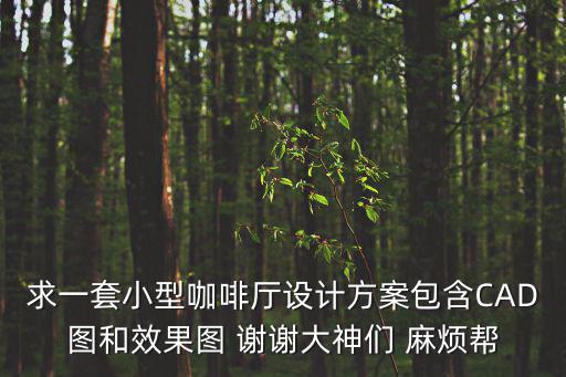 求一套小型咖啡廳設計方案包含CAD圖和效果圖 謝謝大神們 麻煩幫