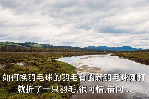 如何換羽毛球的羽毛有的新羽毛球剛打就折了一只羽毛,很可惜,請問...