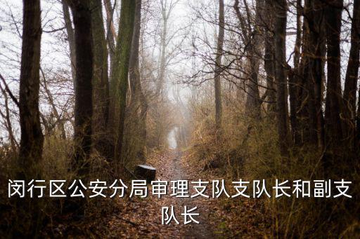 閔行區公安分局審理支隊支隊長和副支隊長