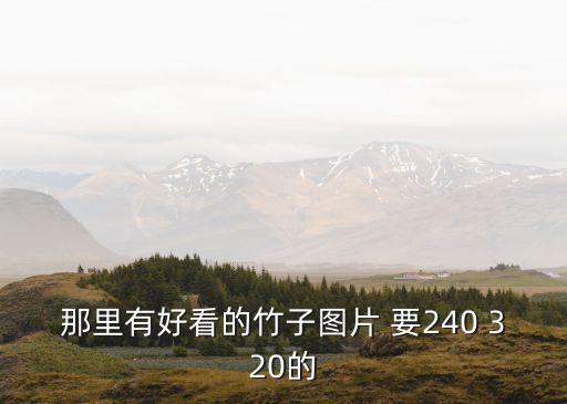 那里有好看的竹子圖片 要240 320的