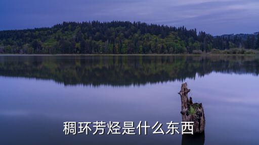 稠環芳烴是什么東西