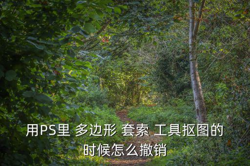 用PS里 多邊形 套索 工具摳圖的時候怎么撤銷