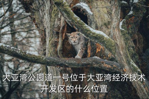 大亞灣公園道一號位于大亞灣經濟技術開發區的什么位置