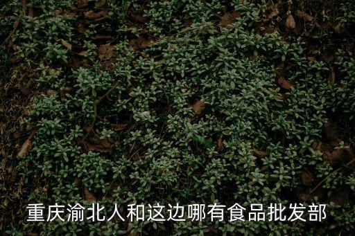 重慶渝北人和這邊哪有食品批發(fā)部