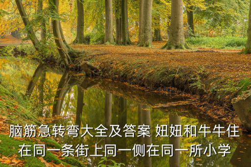 腦筋急轉彎大全及答案 妞妞和牛牛住在同一條街上同一側在同一所小學