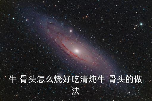 牛 骨頭怎么燒好吃清燉牛 骨頭的做法