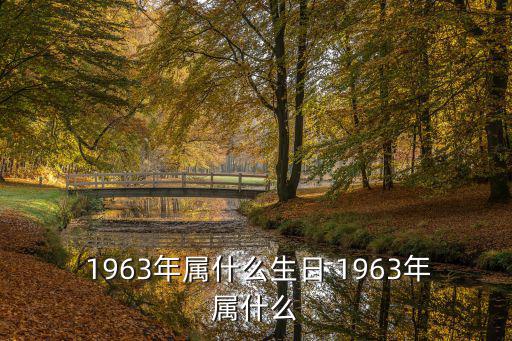 1963年屬什么,所有年滿60歲的公民都屬于老年人