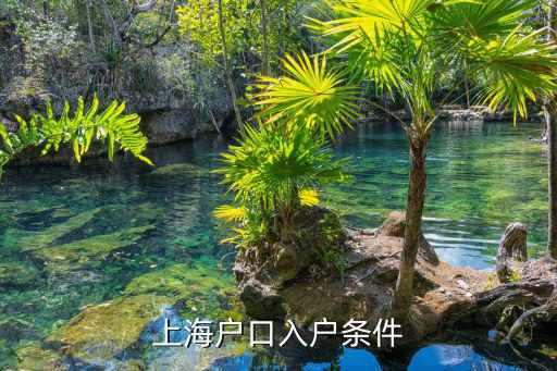 上海入戶的條件最新政策2022，我想入上海的戶口有什么條件嗎