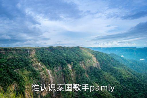 palmy，誰認(rèn)識泰國歌手pamly
