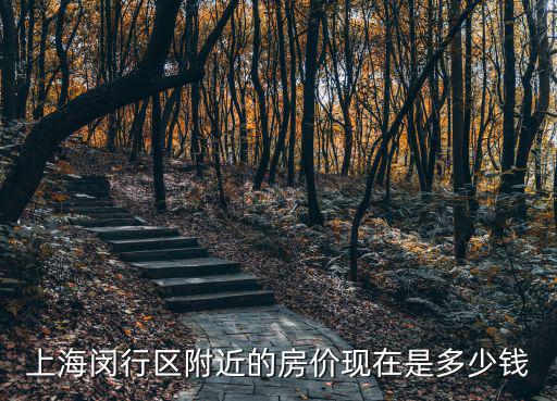 上海閔行區附近的房價現在是多少錢