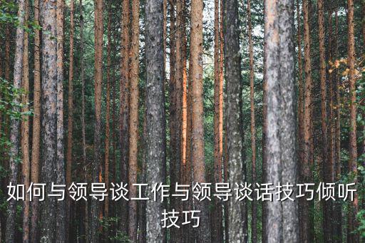 如何與領(lǐng)導(dǎo)談工作與領(lǐng)導(dǎo)談話技巧傾聽技巧