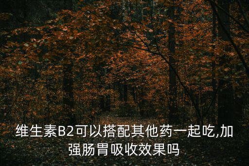 利爾眠,維生素b2和b6可一起吃有助預(yù)防眼炎等