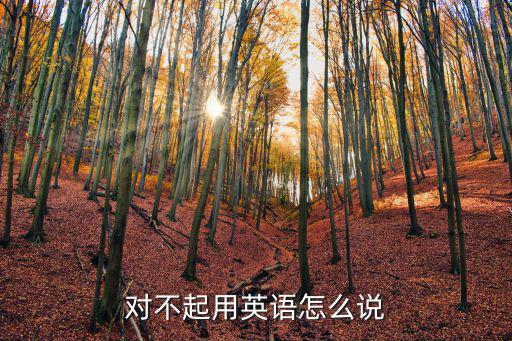 對不起用英語怎么說，對不起用英語怎么說