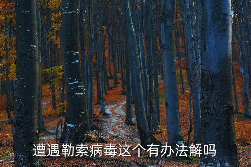 遭遇勒索病毒這個(gè)有辦法解嗎